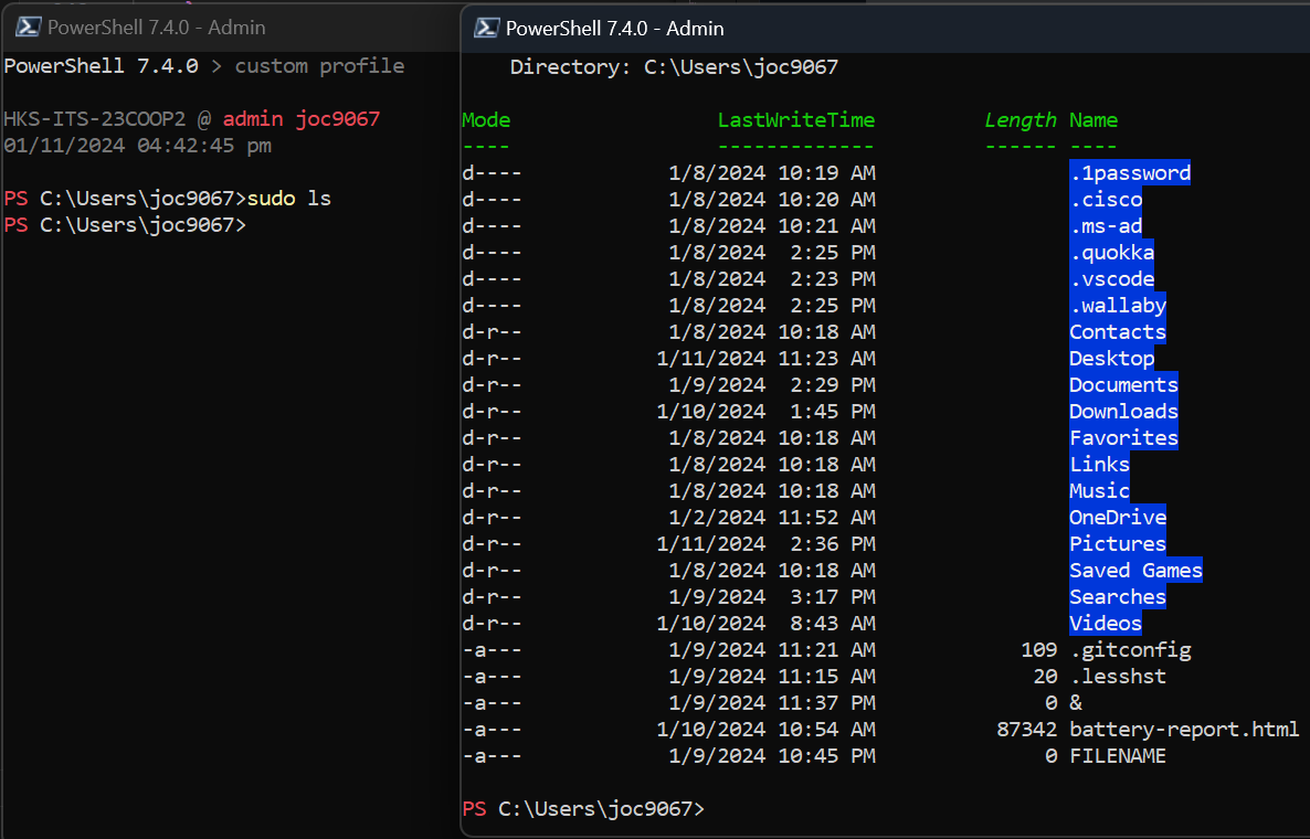 pwsh profile screenshot